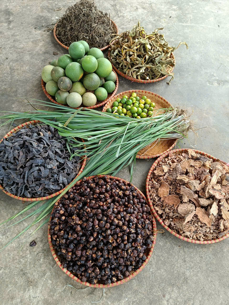 Dầu Gội Đầu Thảo Dược Kích Mọc Tóc Sạch Gàu Minh Thông Dầu Gội Đầu Thảo Dược Kích Mọc Tóc Sạch Gàu Minh Thông